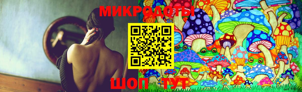 Псилоцибиновые грибы мицелий Нерюнгри