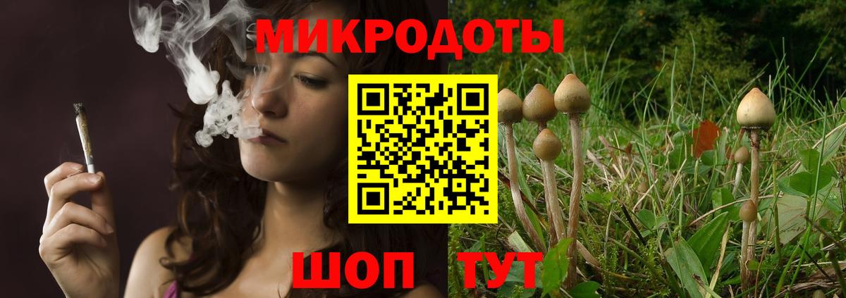Нерюнгри  Псилоцибиновые грибы Cubensis  Вход с VPN 